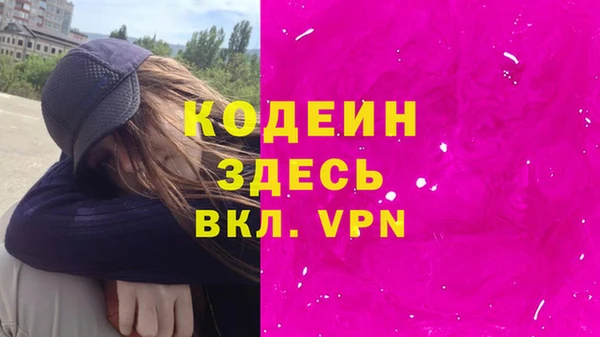 крисы Коряжма