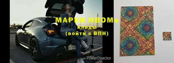 крисы Коряжма