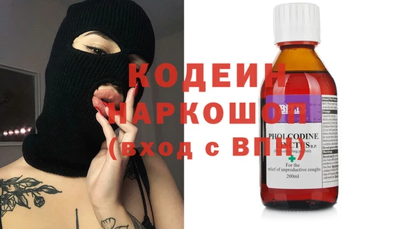 крисы Коряжма