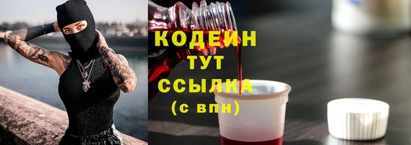 Альфа ПВП Корсаков