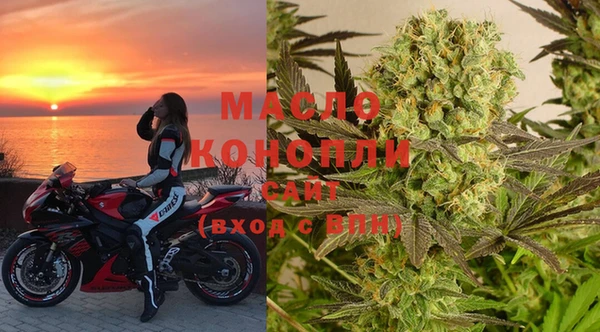 крисы Коряжма