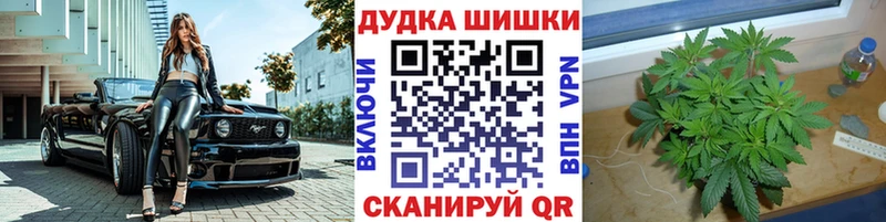 где купить наркоту  Томилино  Конопля Amnesia 
